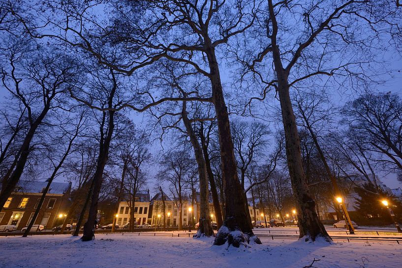 Park Servaasbolwerk / Sonnenborgh und Nieuwegracht in Utrecht von Donker Utrecht