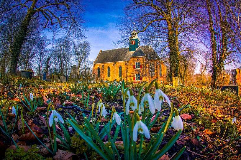 Sneeuwklokjes met slotkapel by peterheinspictures