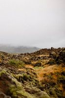 Schroffe Felsen in Island