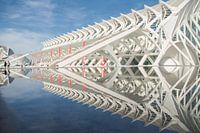 Spiegel der wetenschap 4