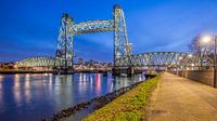 Königinnenbrücke Rotterdam