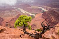 Dead Horse Point