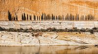 Row of cypress trees against an orange rocky background