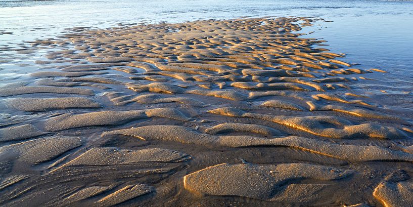 Sandrippeln im flachen Nordseewasser von Bodo Balzer