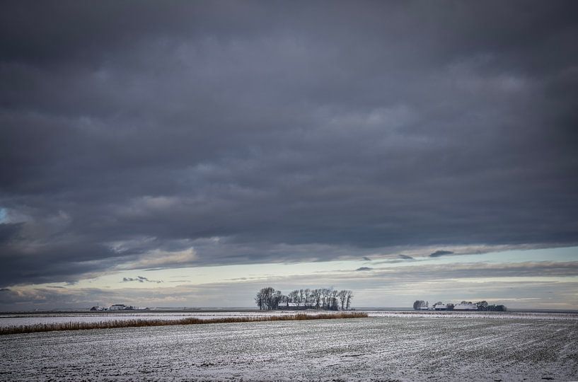 Winter im Noordpolder in Groningen von Bo Scheeringa Photography