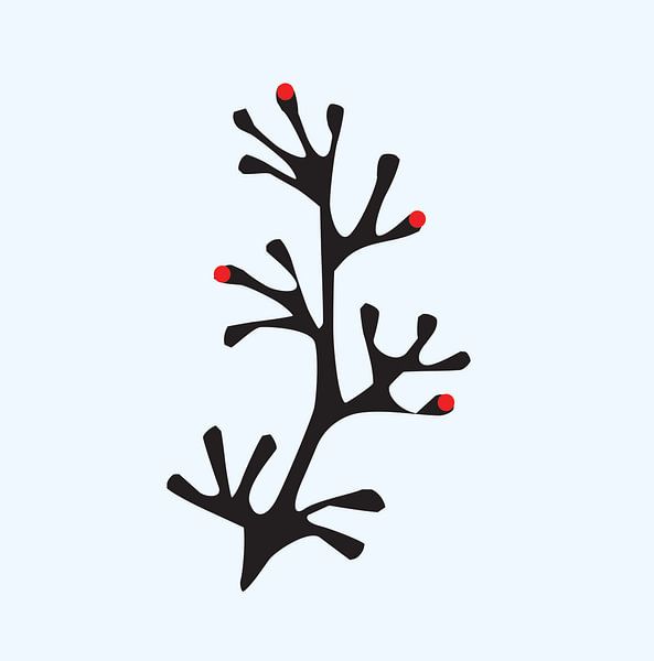 Branch with harvested berries by sarp demirel