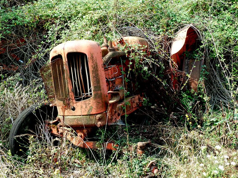 vergankelijkheid by Pieter Veninga