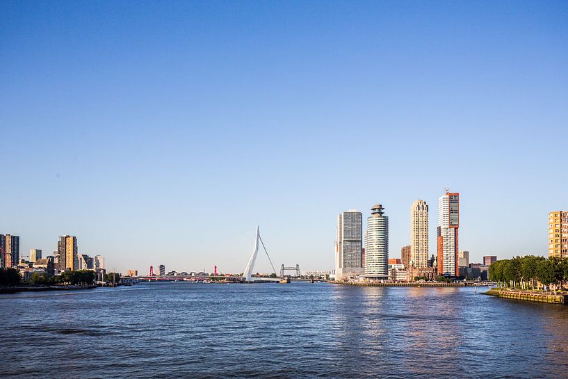 Blick auf Rotterdam von der Maas aus von Eric van Nieuwland