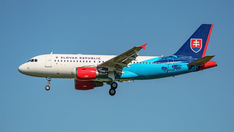 Slovak government Airbus A319 aircraft. by Jaap van den Berg