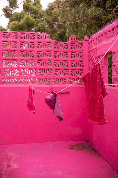 Rosa Wäscheleine von Hazel Pasman