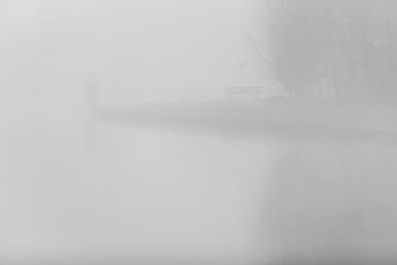 Vogeltje wat zing je vroeg! van Geert-Jan Timmermans