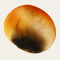 AMBER GLOW AQUA PETAL 995 - Abstrakte Aquarellmalerei mit elfenbeinfarbenem Hintergrund