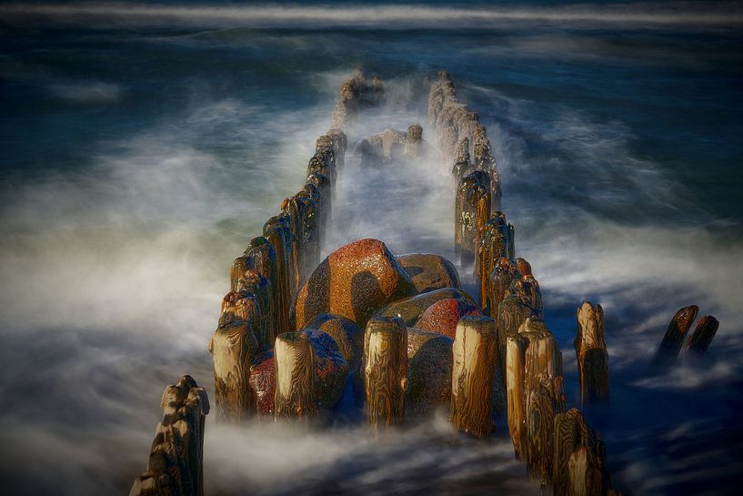 Un épi en bois de Sylt au soleil du matin par Bodo Balzer