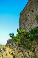 Ein Turm des Castillo de Forna auf einem großen Felsen mit einem grünen Strauch und blauem Himmel