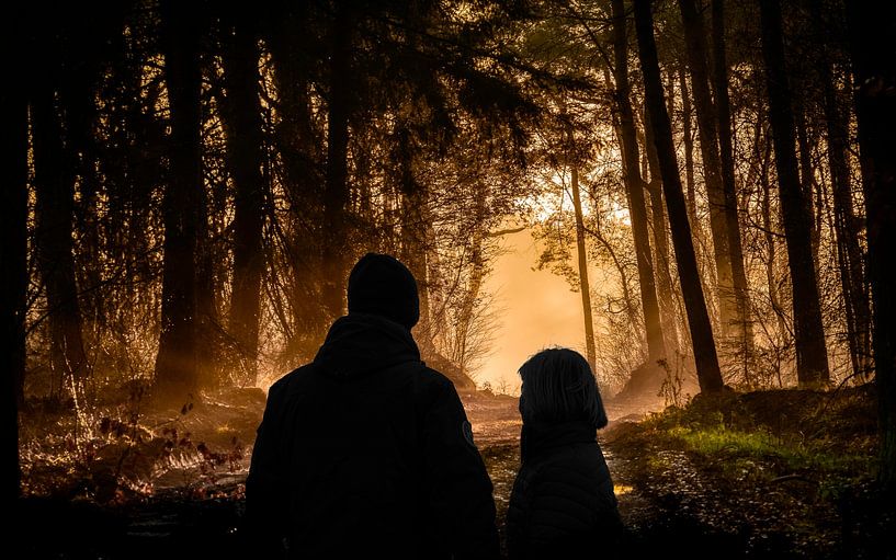 attrapé par la lumière du matin par Peter Smeekens