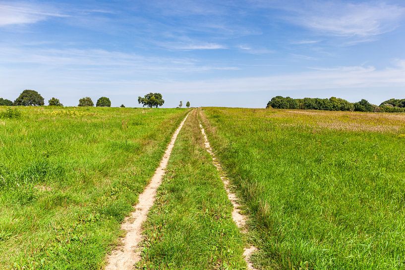 Cart track on the Kollenberg near Sittard by Evert Jan Luchies