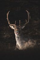 Hauptsache, es ist lecker!