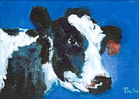 Kopf einer schwarzgesichtigen Kuh auf blauem Hintergrund