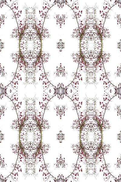 Rote Beeren von Akira Peperkamp