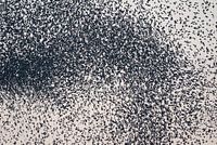 Im Herzen einer Sternenwolke