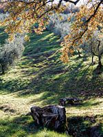 Nimm Platz Umbrien Italien