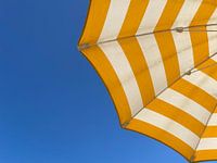 Sommerfeeling Blick vom Liegestuhl