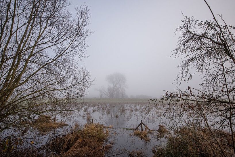 neblige Landschaft von Bart Liesenborgs