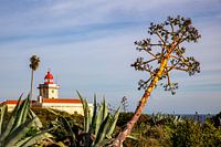 Phare de l'Algarve
