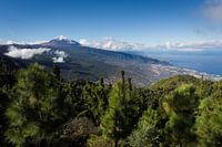 Vallée de l'Orotava