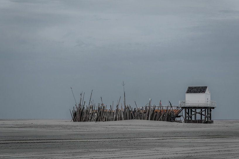Kraaiennest op het strand van Jasper Scheffers