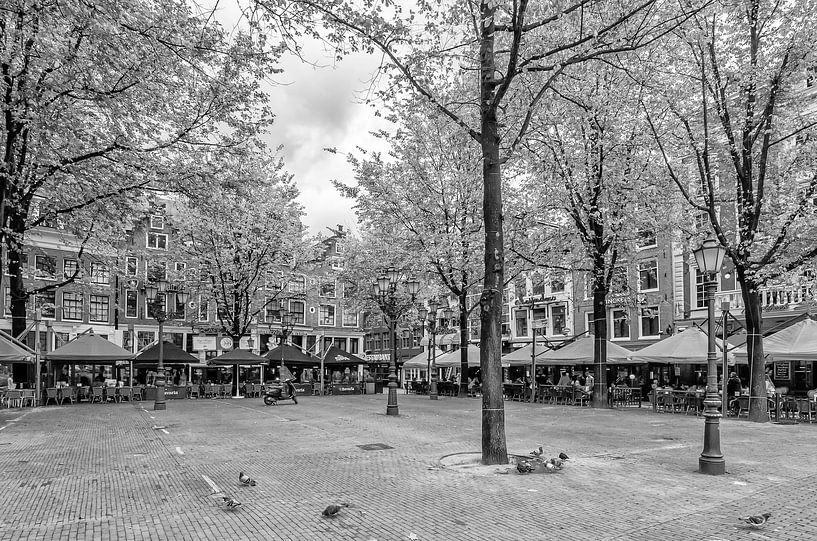 Leidseplein in Amsterdam von Don Fonzarelli