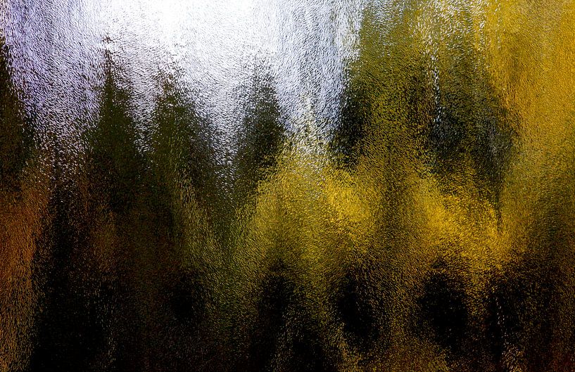 Forest by Thomas Jäger