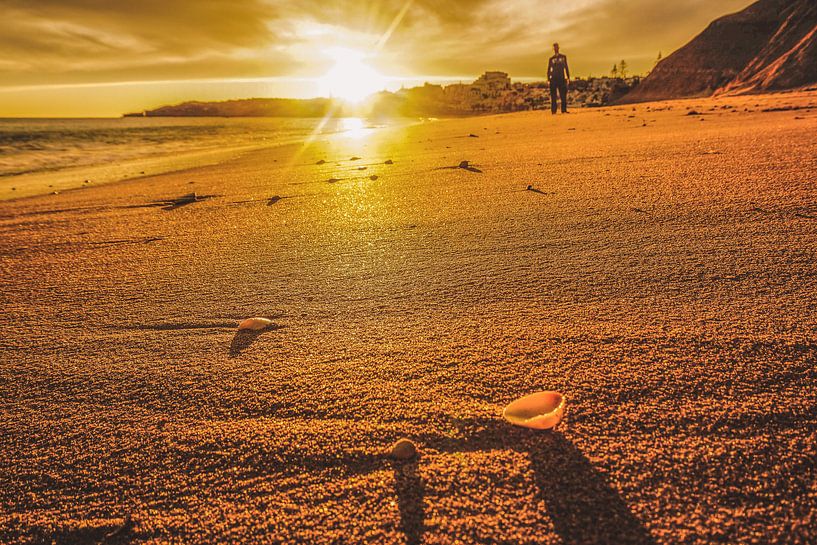 Schoonheid in elk detail op het strand par Nynke Nicolai