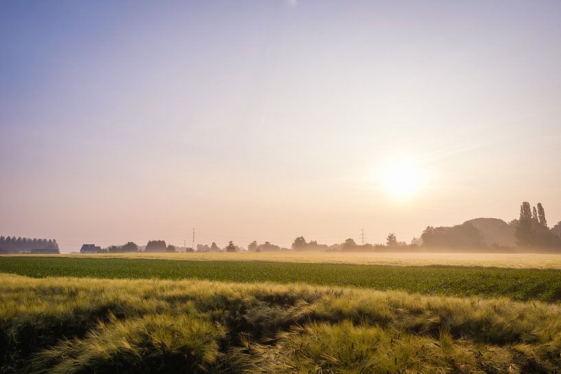 Sonnenaufgang über dem Feld in Hasselt von Johan Vanbockryck
