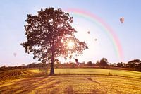 Ich glaube, ich kann fliegen