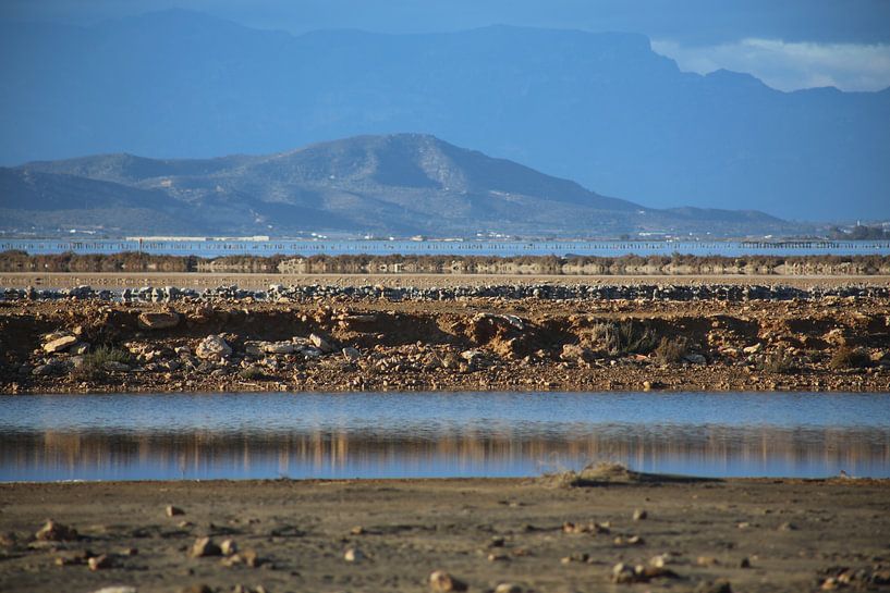 landscape by marijke servaes