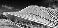 "Treinstation GUILLEMINS LUIK"