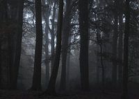 Der Wolf von Luttelgeest