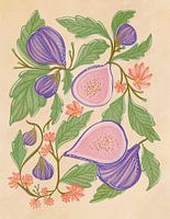 Botanische Illustration von Feigen und Blumen
