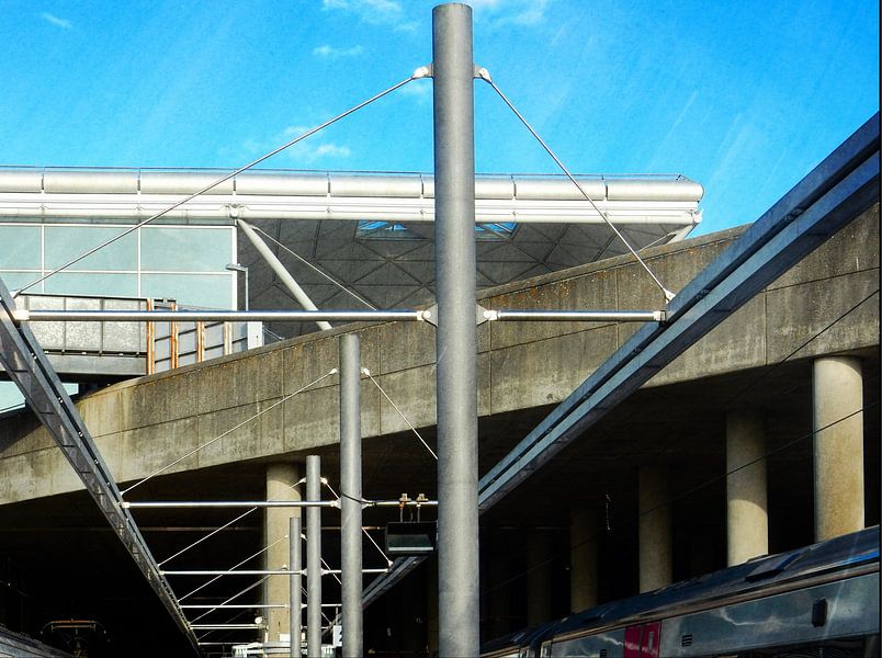 Zwischen den LIndern von Dorothy Berry-Lound