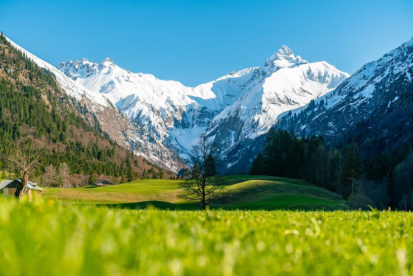 erster Frühling im Trettachtal von Leo Schindzielorz
