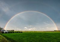 Regenbogen über einer Wiese