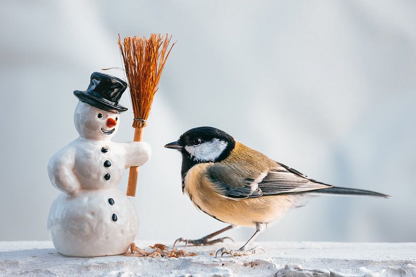 Vogel / Kohlmeise und Schneemann von Jürgen Schmittdiel Photography