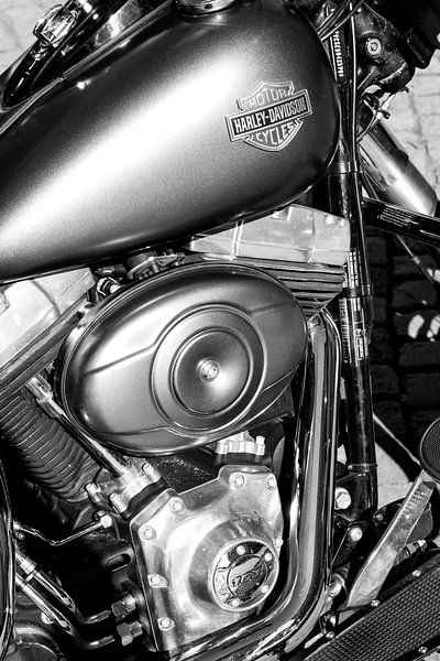 Harley-Davidson by Dieter Walther