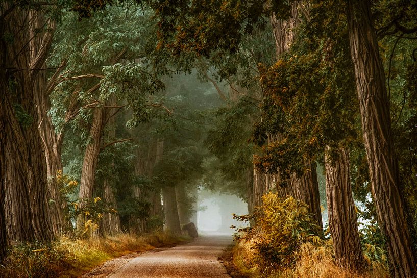 Bien par Lars van de Goor
