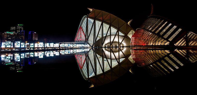 Das Auge von Herbert Seiffert