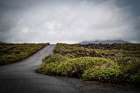 Volcanic landscape Lanzarote