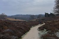 Landschaft bei der Posbank