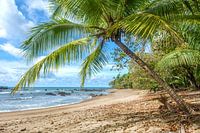 Strand im NP Corcovado in Costa Rica