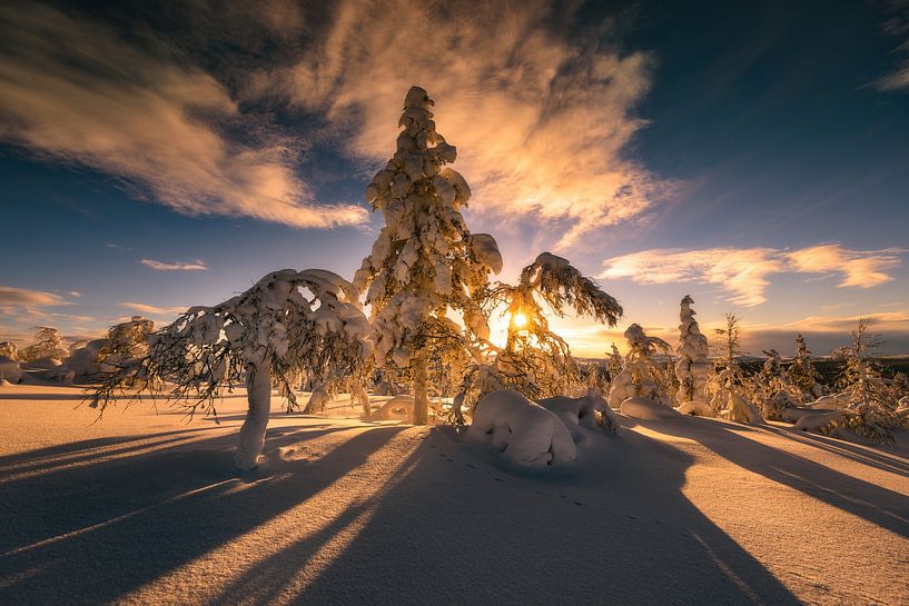 Ein warmer Morgen von Stan Bessems